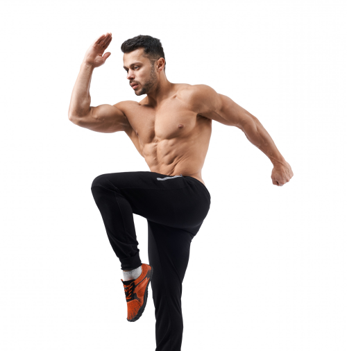 FitFlex